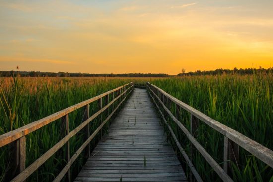 Off-the-Beaten-Path
